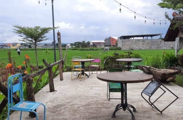 resto view teras padi borobudur