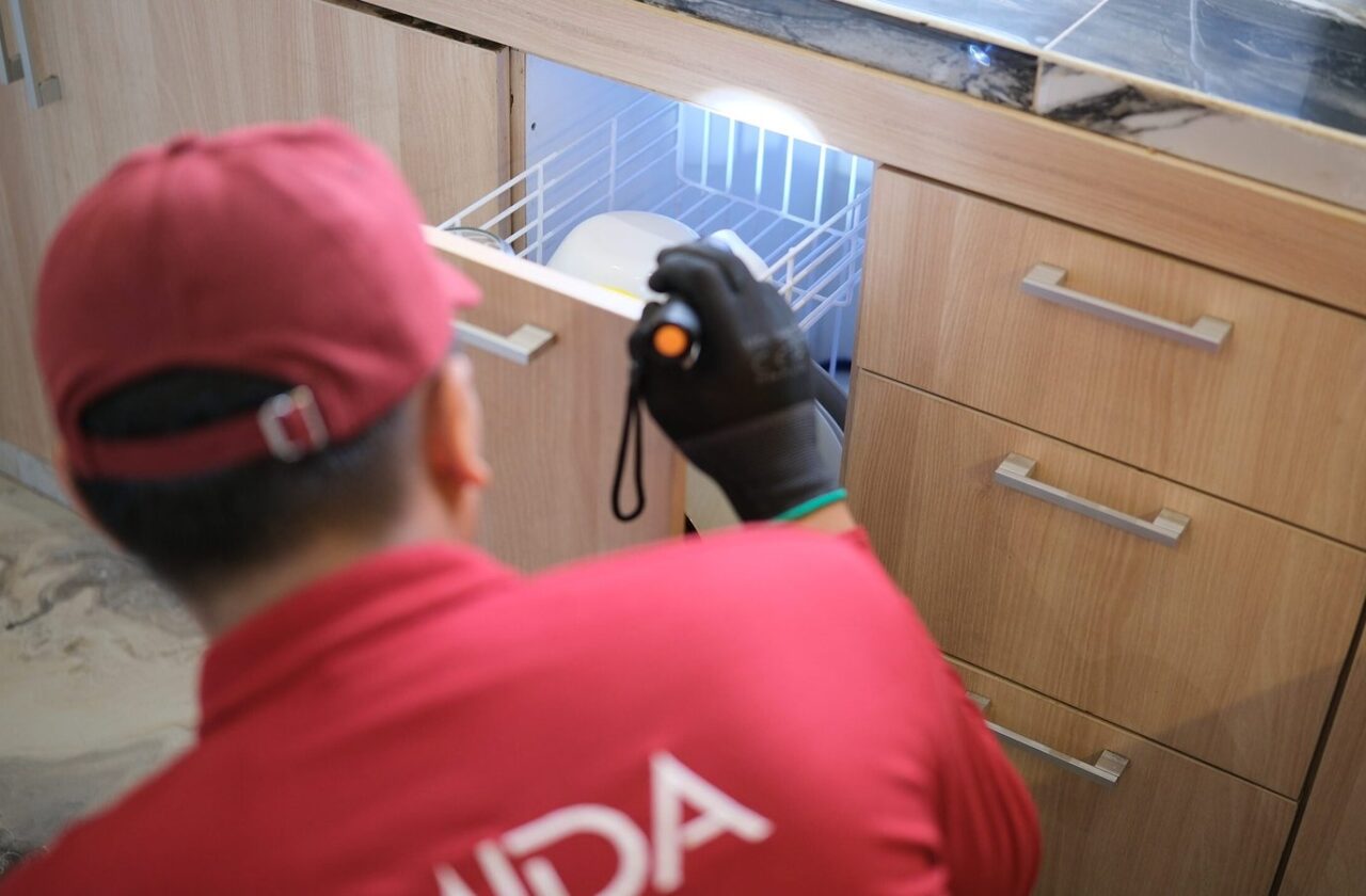 pemeriksaan rayap pada lemari dapur kayu